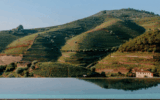 Plum Guide: The Ultimate Luxury Vacation Rental Experience