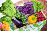 PyszneEko.pl: Nurturing Health Through Organic Choices