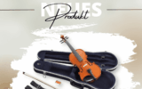 Discovering Pianelli: The Premier Destination for Musical Instruments