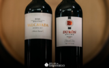 Cam Solardesamaniego: A Journey Through Fine Spanish Wines and Exceptional Experiences