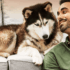 Hundeland: The Ultimate Destination for Pet Nutrition and Care