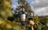 Virgin Wines: Unlocking a World of Wine Delivered Straight to Your Door