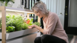 Erleben Sie mit Rise Gardens die Freude am Gärtnern zu Hause: Bauen Sie das ganze Jahr über frisches Obst und Gemüse an!
