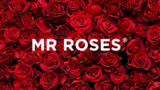 Hymyjen lähettäminen: Kuinka Mr Roses -verkkokauppa tarjoaa muutakin kuin kukkia ja ruusuja