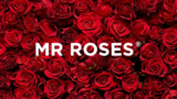 Een glimlach sturen: Hoe de online winkel van Mr Roses meer levert dan alleen bloemen en rozen