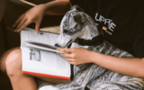 FunnyFuzzy: The Perfect Blend of Fun, Function, and Fuzz for Your Furry Friend