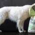 Fressnapf Online Shop: A Paradise for Pet Lovers