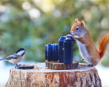 Vivara Naturschutzprodukte: Bringing Nature Home to Your Garden