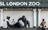 Zoological Society of London - London Zoo: Et eventyr med ville dyr i hjertet av byen