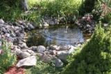 Pondkeeper : Entretenir la beauté des jardins aquatiques