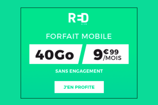 Early bird clearance (40)