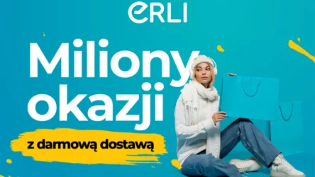 Shopping Reinvented: What Makes ERLI.PL So Addictive