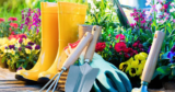 Willemse: cultivar jardines, alimentar la pasión
