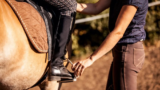 Dévoilement de l'élégance équestre : une plongée en profondeur dans GS Equestrian