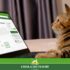 Caats: Nutrindo seus amigos felinos com um toque francês