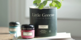 Little Greene: O călătorie în lumea vopselei și tapetului atemporal