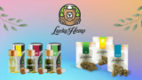 LuckyHemp: Banbrytande välbefinnande med premium CBD-produkter