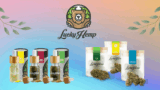 LuckyHemp: Pioneering Wellness with Premium CBD Products