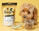 Pooch en Mutt: voedende hondenwelzijn met een kwispelend verschil