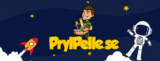 Amusant et fonctionnalité de PrylPelle : votre destination ultime pour des gadgets et des cadeaux uniques