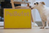 Rivoluzionare la nutrizione del cane: il nuovo approccio di PsiBufet