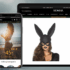 Discover the World of Perfumy.pl: Your Ultimate Destination for Fragrances