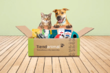 Tiendanimal: A Comprehensive Haven for Pet Lovers