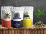 Tthe World of Weedshop.cz: Your Ultimate Destination for Smoking Essentials and CBD Products