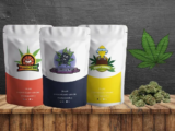 Tthe World of Weedshop.cz: Your Ultimate Destination for Smoking Essentials and CBD Products
