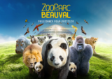 Beauval Zoo: Menedék a vadon élő állatok és természetvédelem számára
